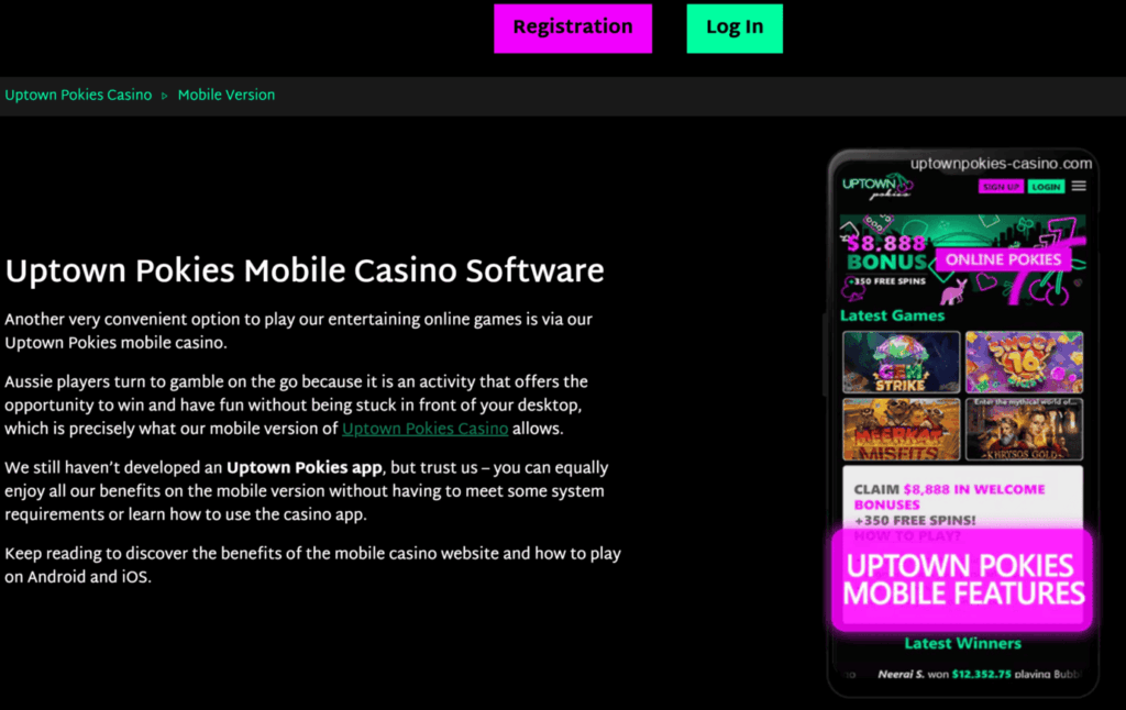 Mobile accessibility and software variety